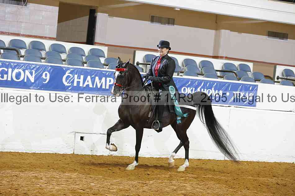 Proof 14r9_2405