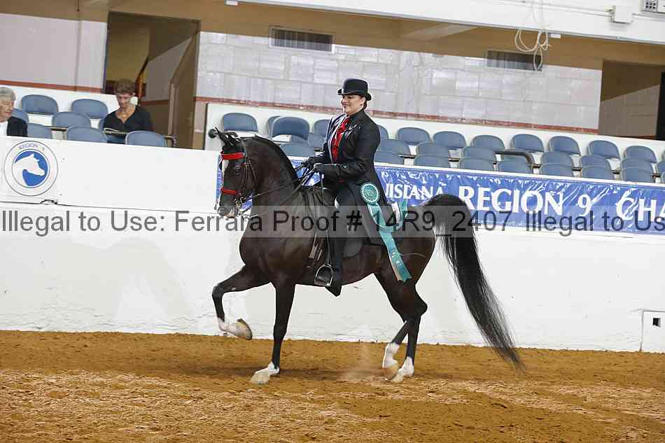 Proof 14r9_2407