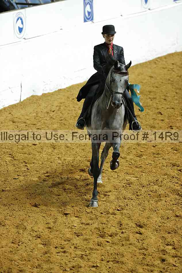 Proof 14r9_2408