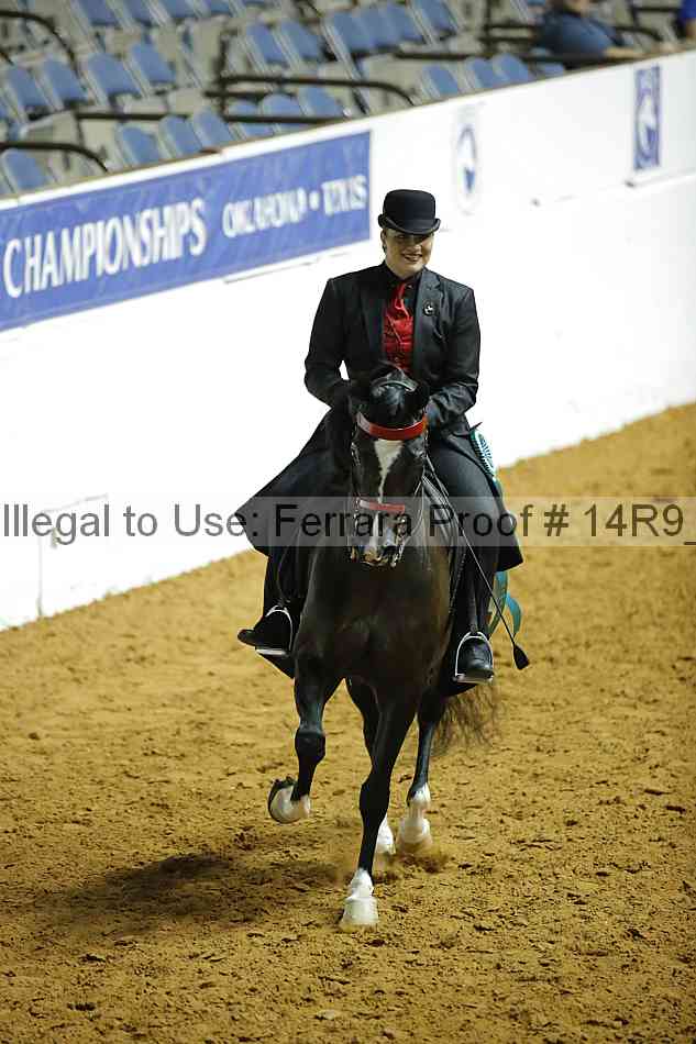 Proof 14r9_2409