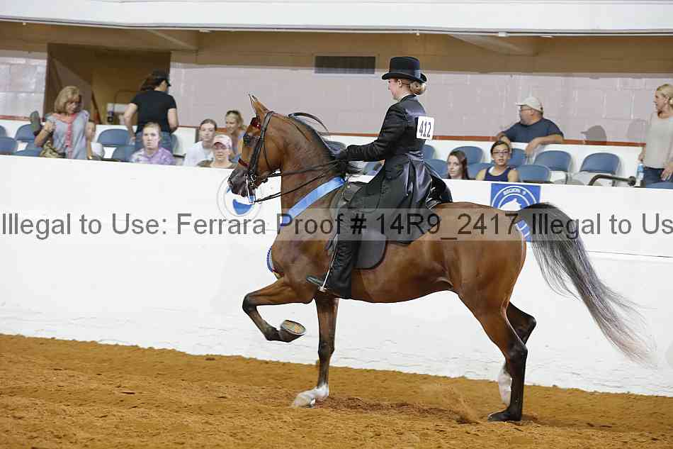 Proof 14r9_2417