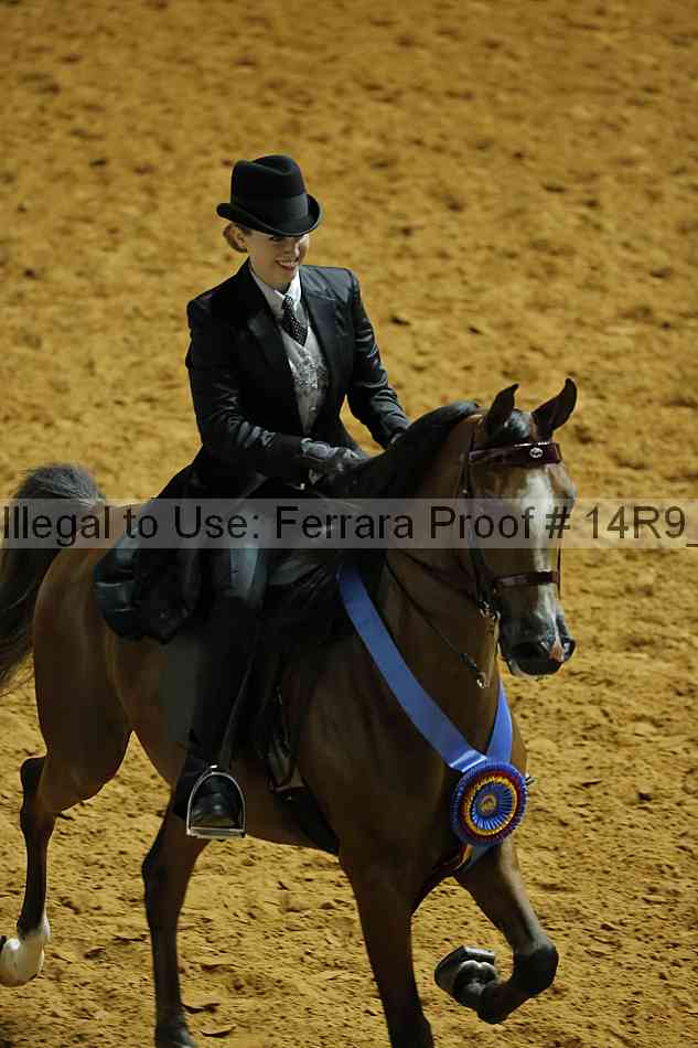 Proof 14r9_2422