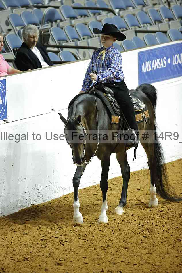 Proof 14r9_2452