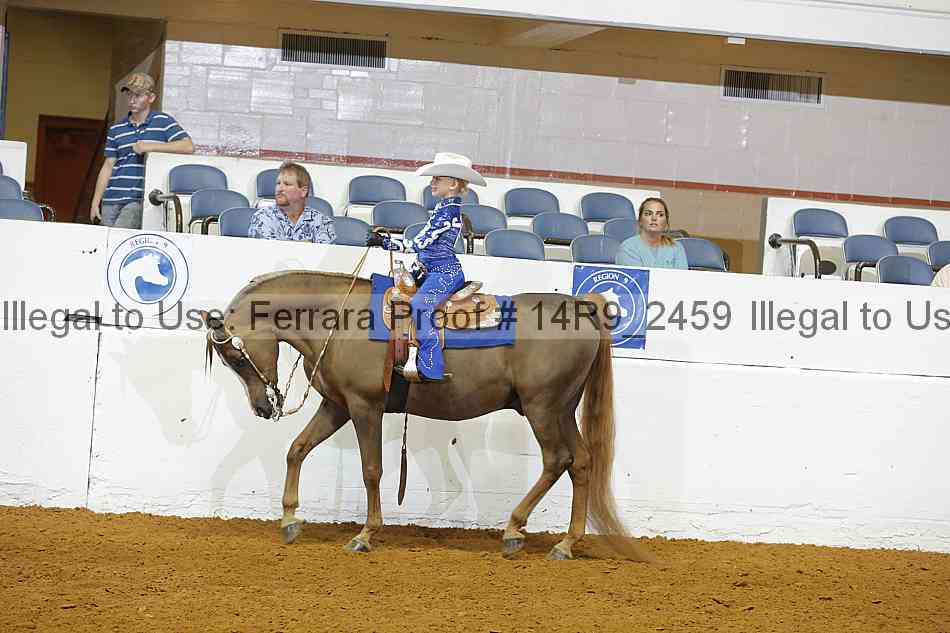 Proof 14r9_2459