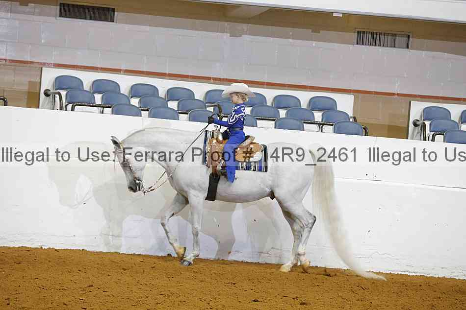 Proof 14r9_2461
