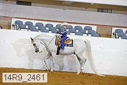 14r9_2461 proof