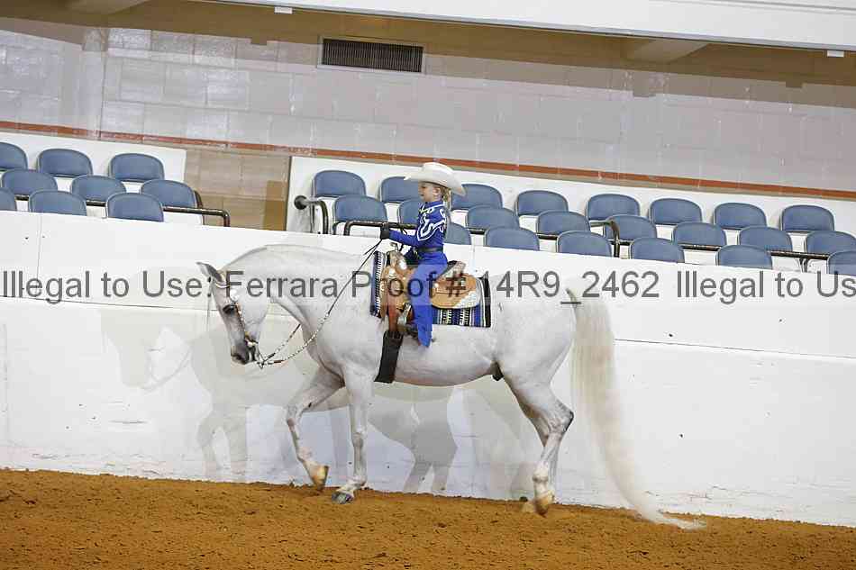 Proof 14r9_2462