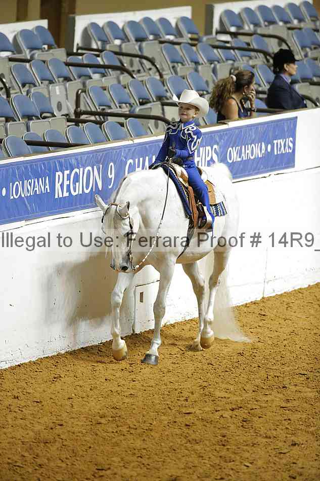Proof 14r9_2473