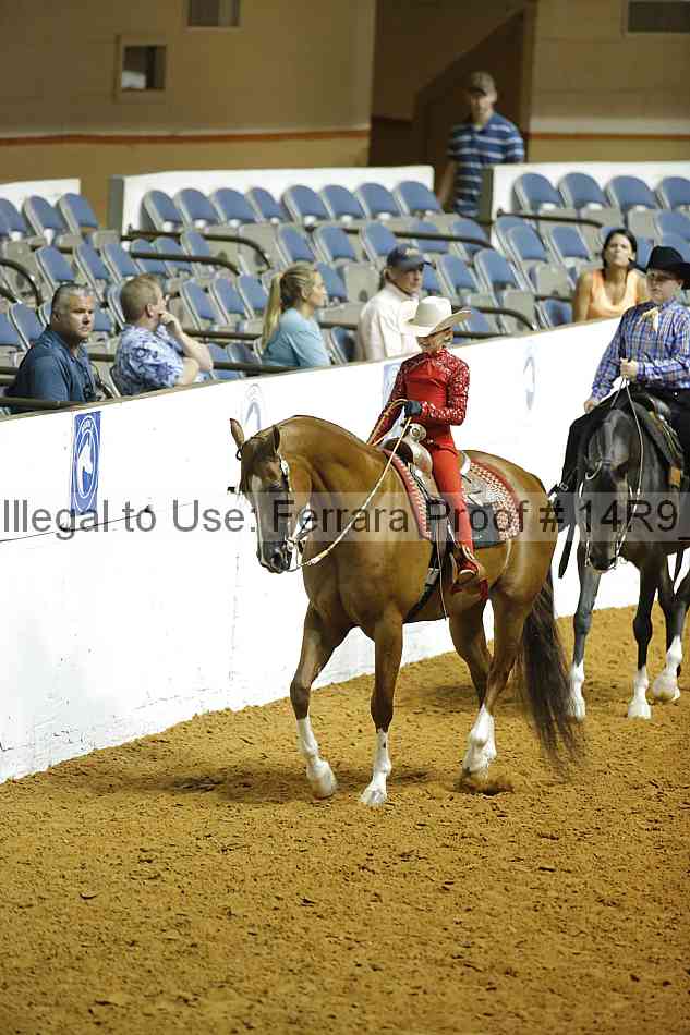 Proof 14r9_2486