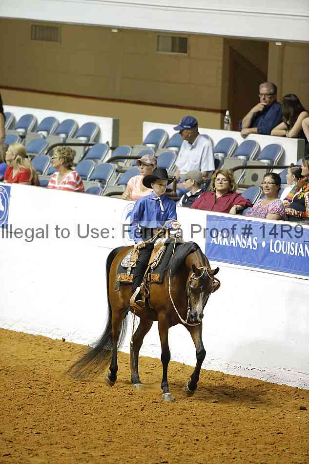 Proof 14r9_2488