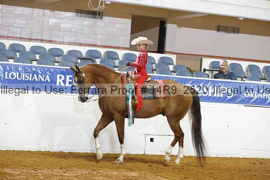 Proof 14r9_2520