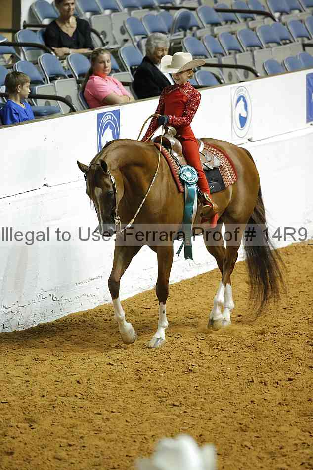 Proof 14r9_2521