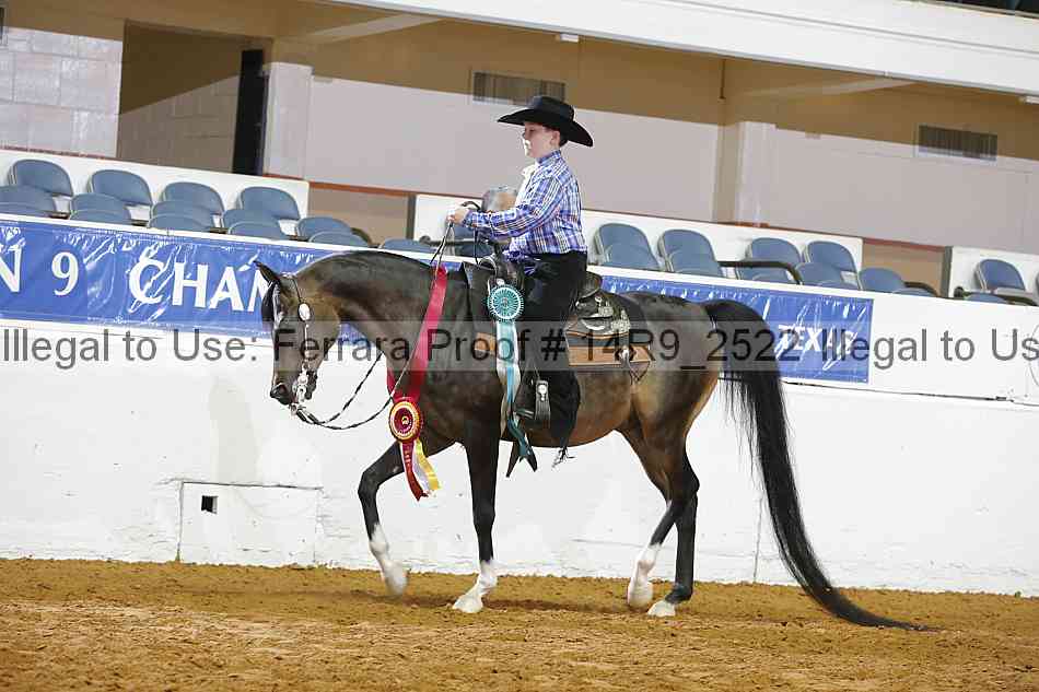 Proof 14r9_2522