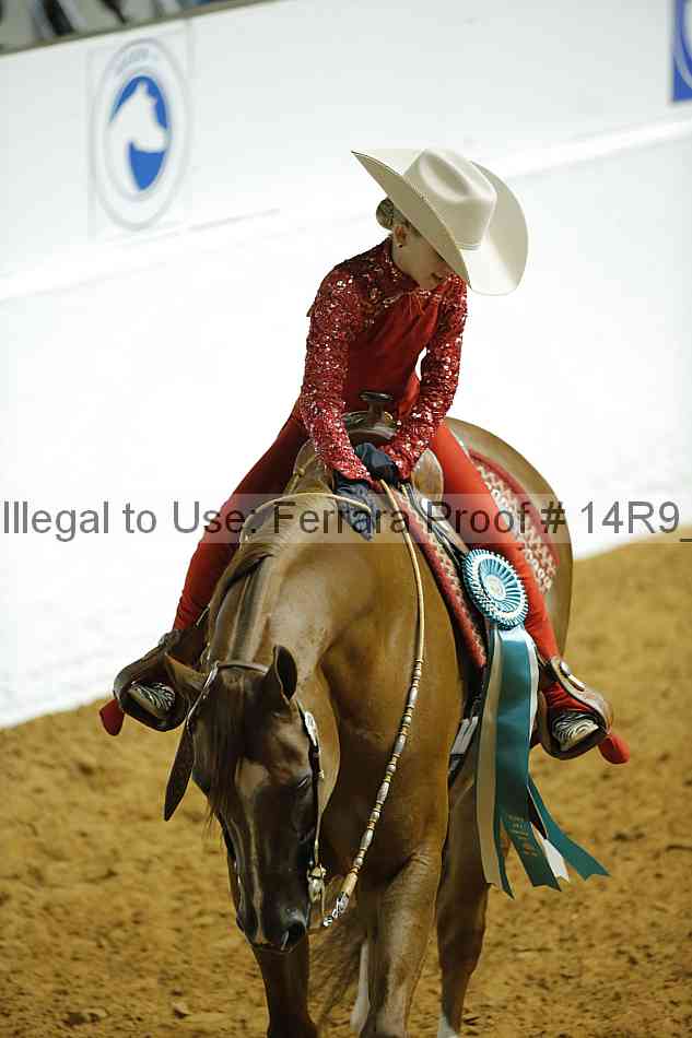 Proof 14r9_2524