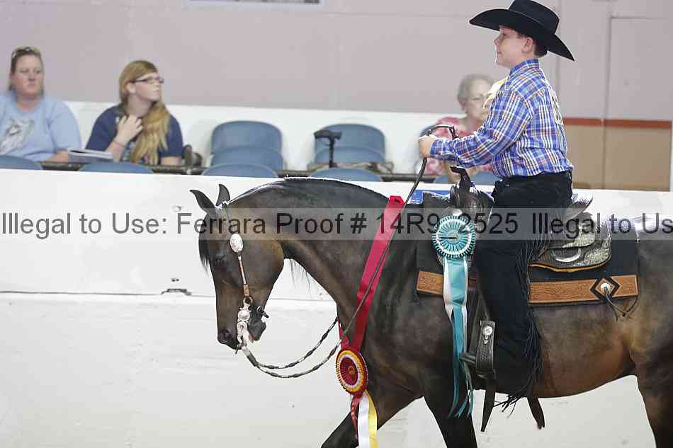 Proof 14r9_2525