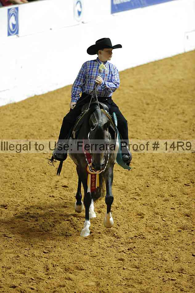 Proof 14r9_2528