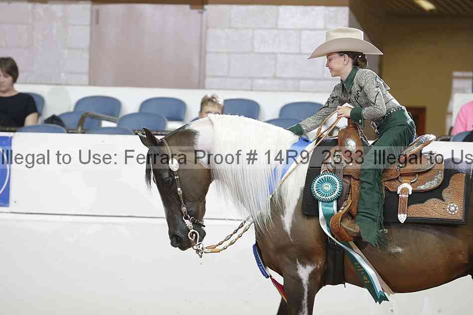 Proof 14r9_2533