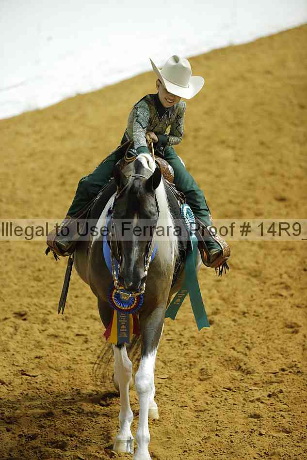 Proof 14r9_2537