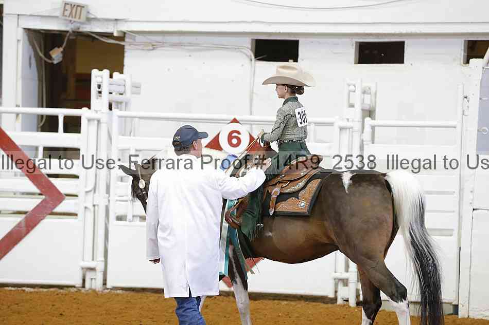 Proof 14r9_2538