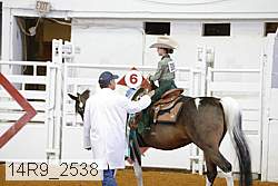14r9_2538 proof