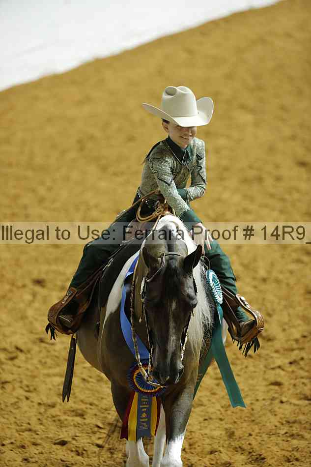 Proof 14r9_2539