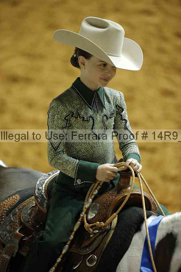 Proof 14r9_2540