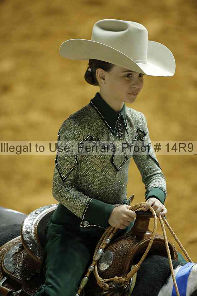 Proof 14r9_2541