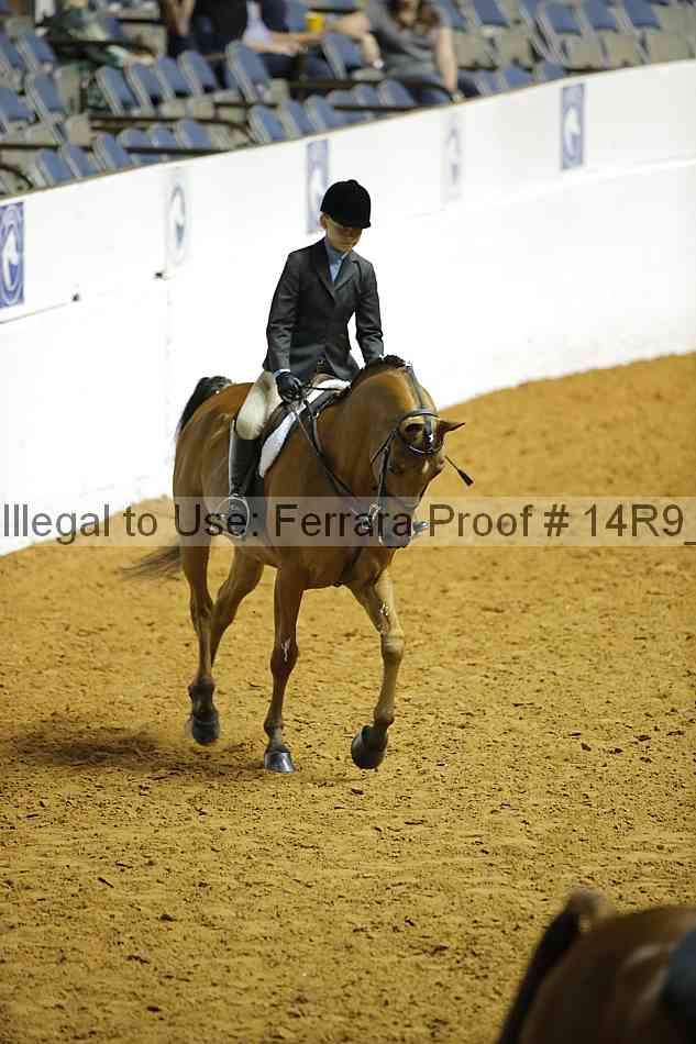 Proof 14r9_2562