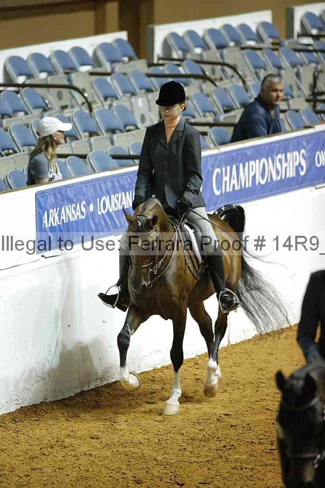 Proof 14r9_2565