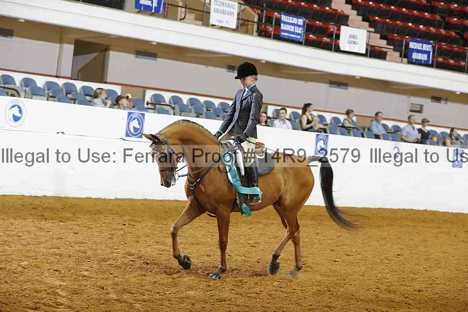 Proof 14r9_2579