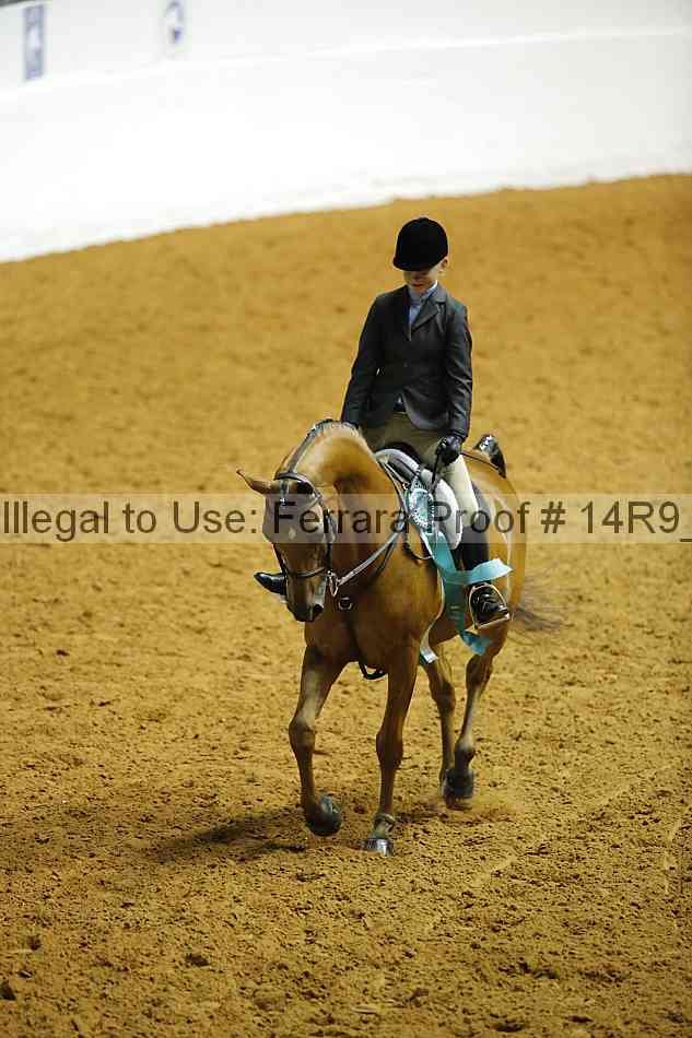 Proof 14r9_2581