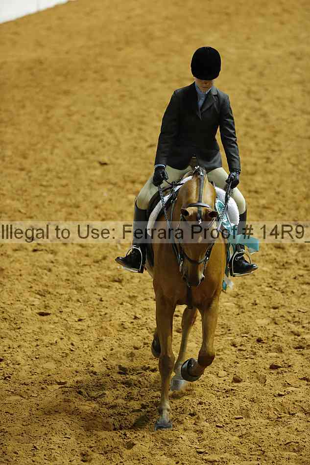 Proof 14r9_2582