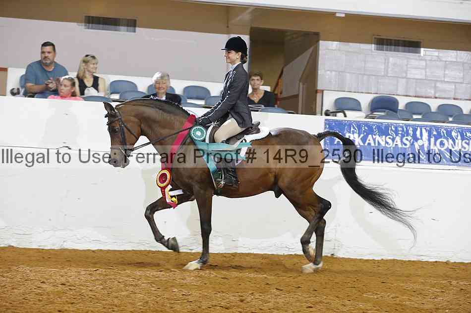 Proof 14r9_2590