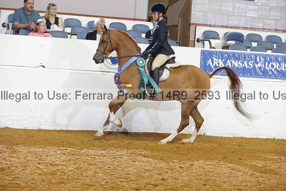Proof 14r9_2593
