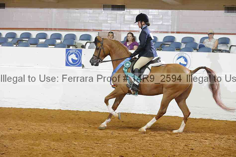Proof 14r9_2594