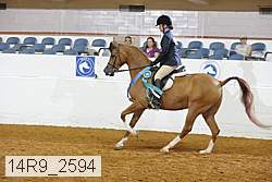 14r9_2594 proof