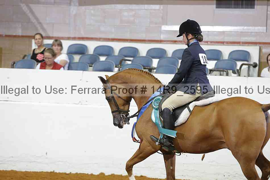 Proof 14r9_2595