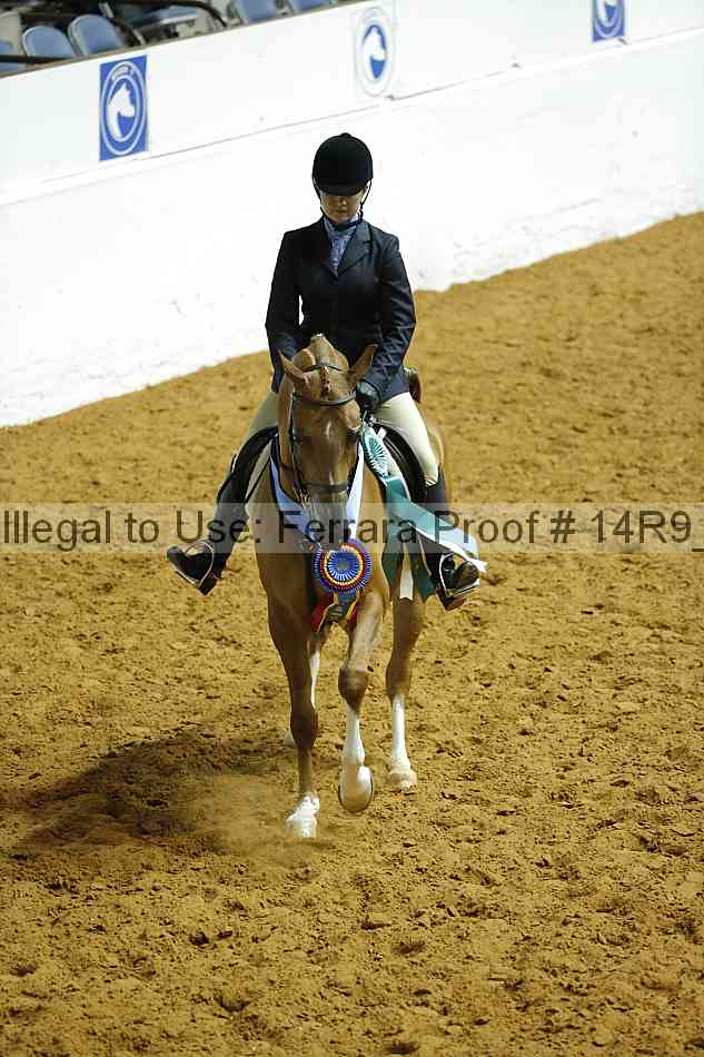 Proof 14r9_2596