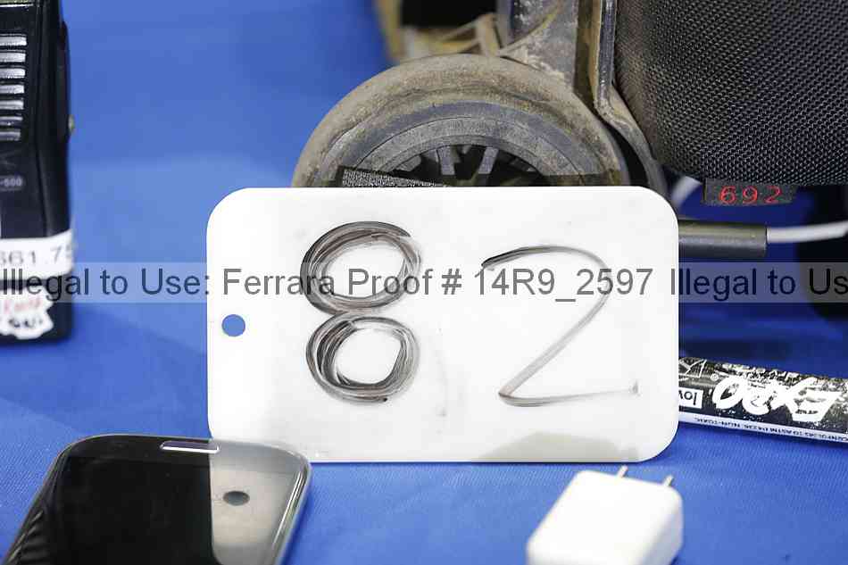 Proof 14r9_2597