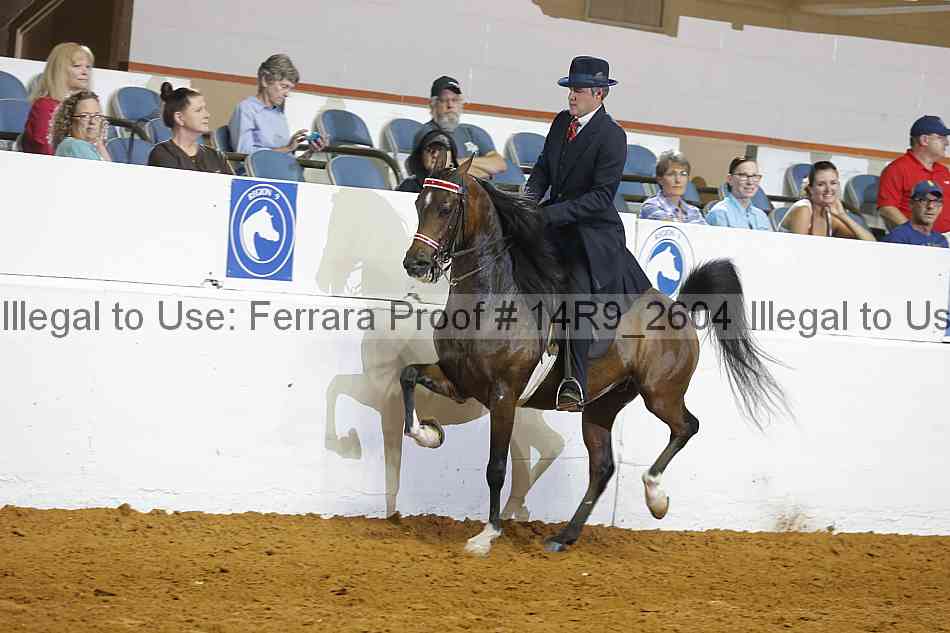 Proof 14r9_2604