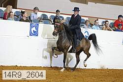 14r9_2604 proof