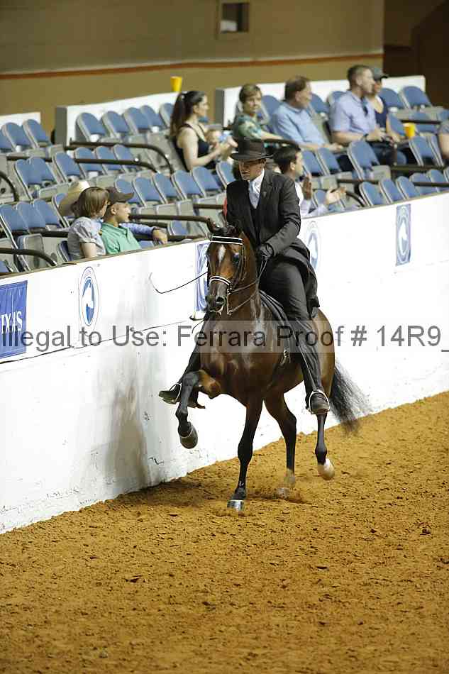 Proof 14r9_2605