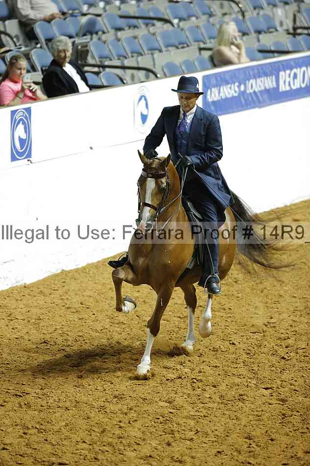 Proof 14r9_2608
