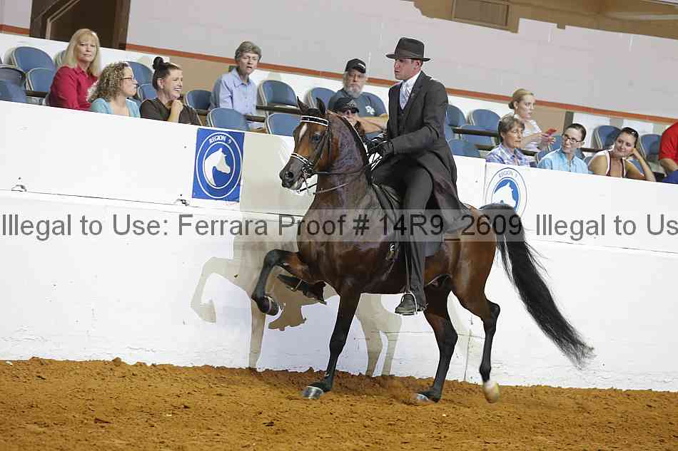 Proof 14r9_2609