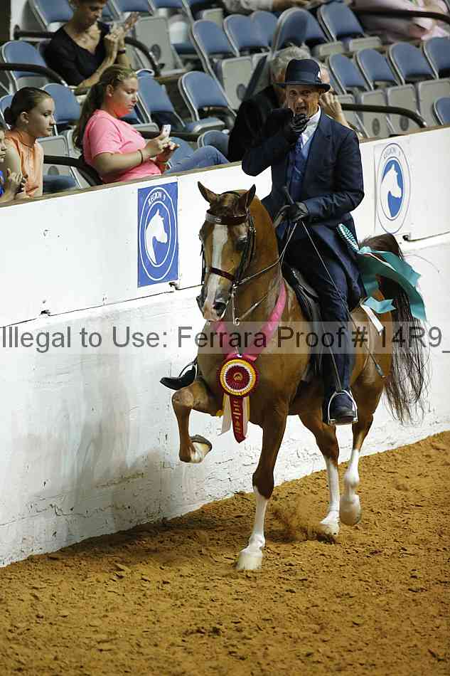 Proof 14r9_2621