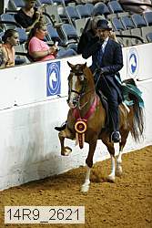 14r9_2621 proof