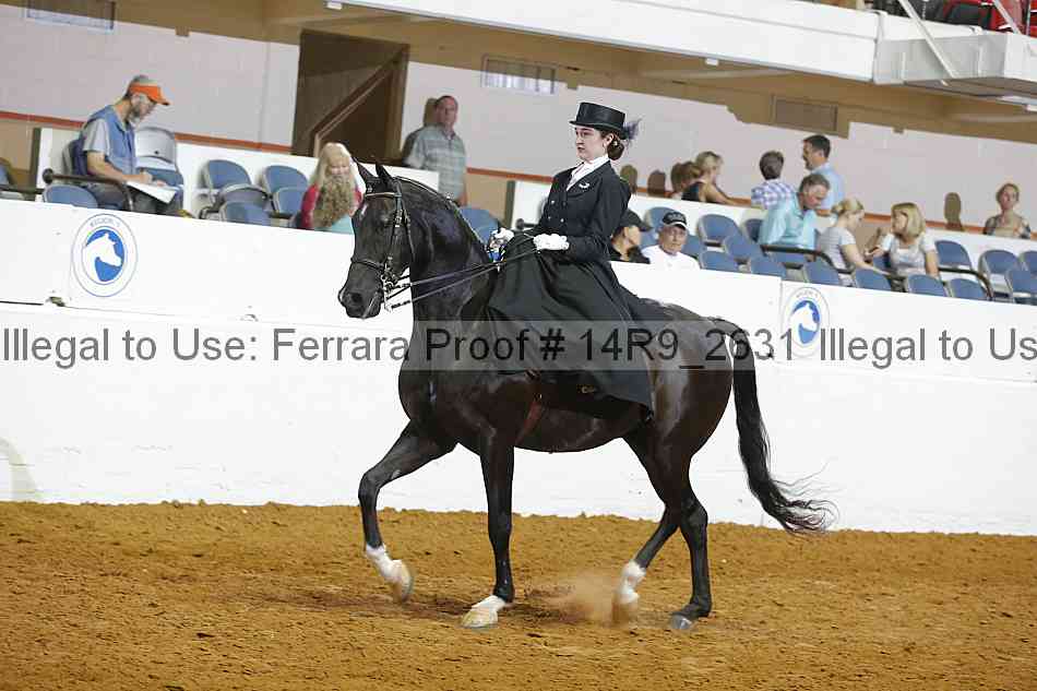 Proof 14r9_2631