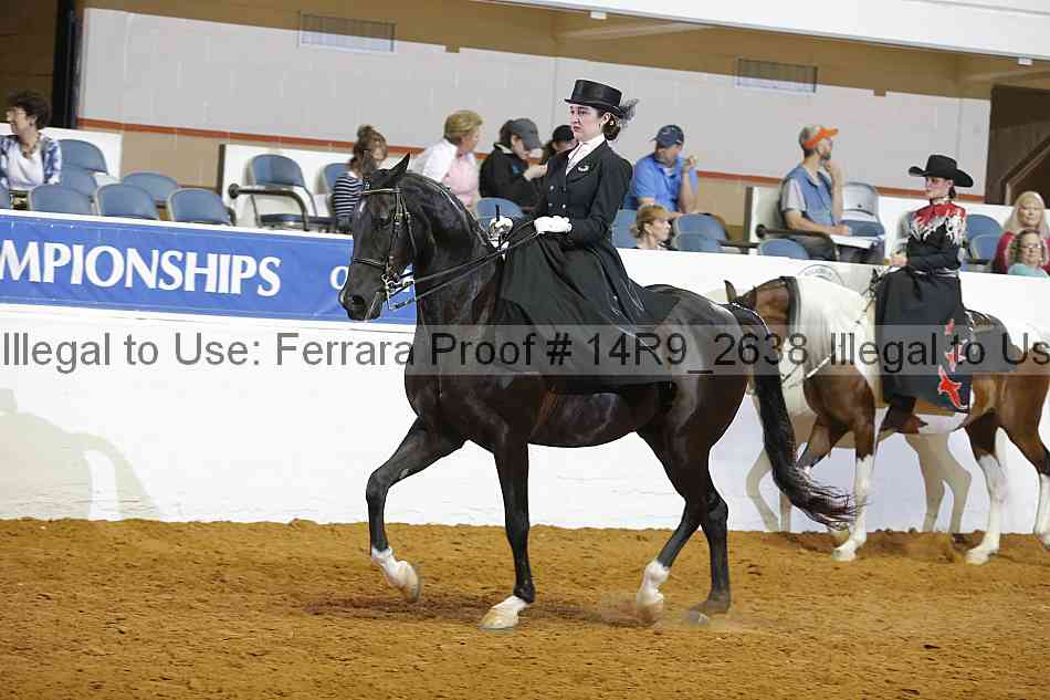 Proof 14r9_2638