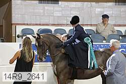14r9_2641 proof