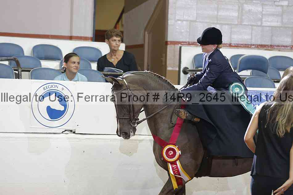 Proof 14r9_2645